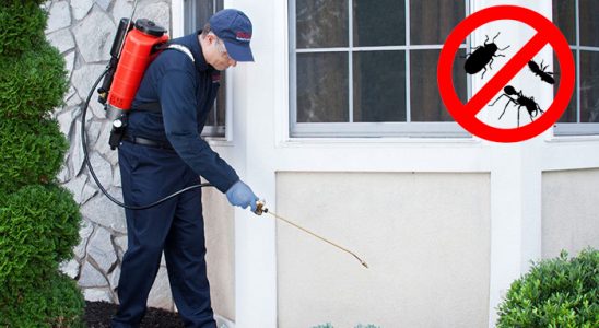 Keçiborlu Bit İlaçlama böcek ilaçlama ve haşere kontrolü — ilaclama-tr.com